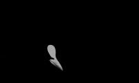 koet zw-w-0275.jpg